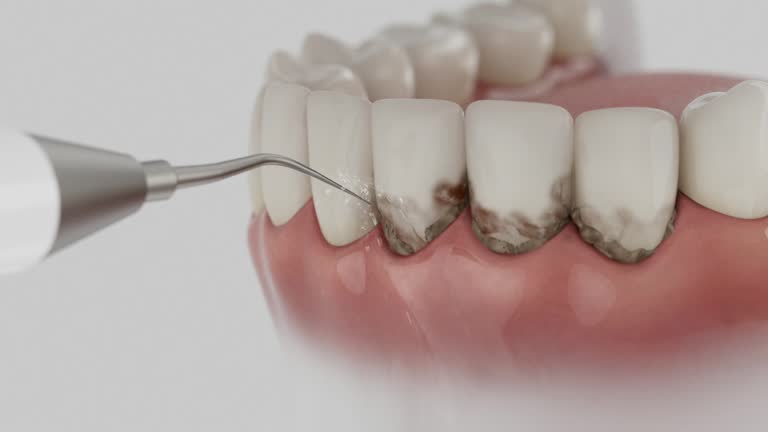 Reliable Dental contractor in New Orleans, LA by Dentist Open Now